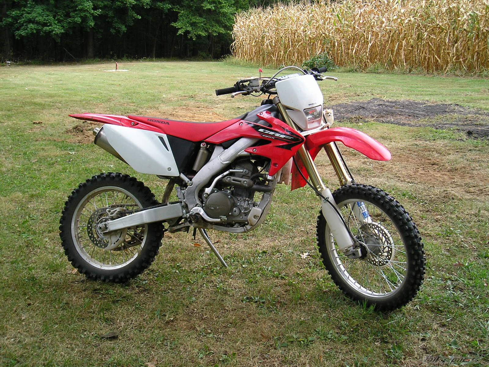 2005 HONDA CRF 250X | Picture 435150 motorcycle photo