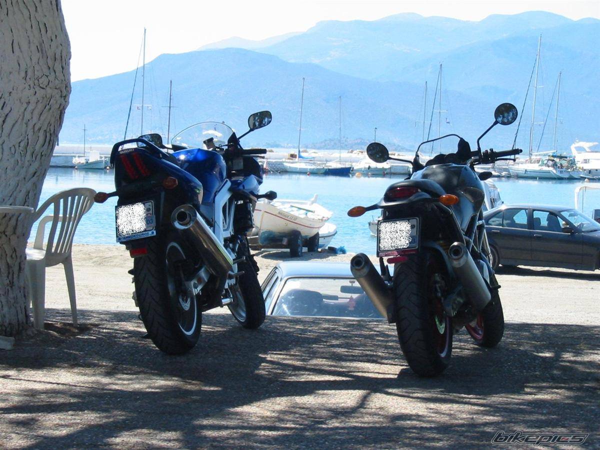 2003 SUZUKI SV 650S | Picture 435267 motorcycle photo