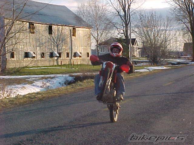 2002 HONDA XR 100 | Picture 43546 motorcycle photo