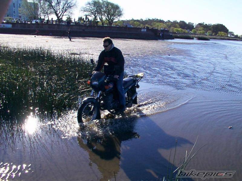 2000 JAWA 350 | Picture 435717 motorcycle photo