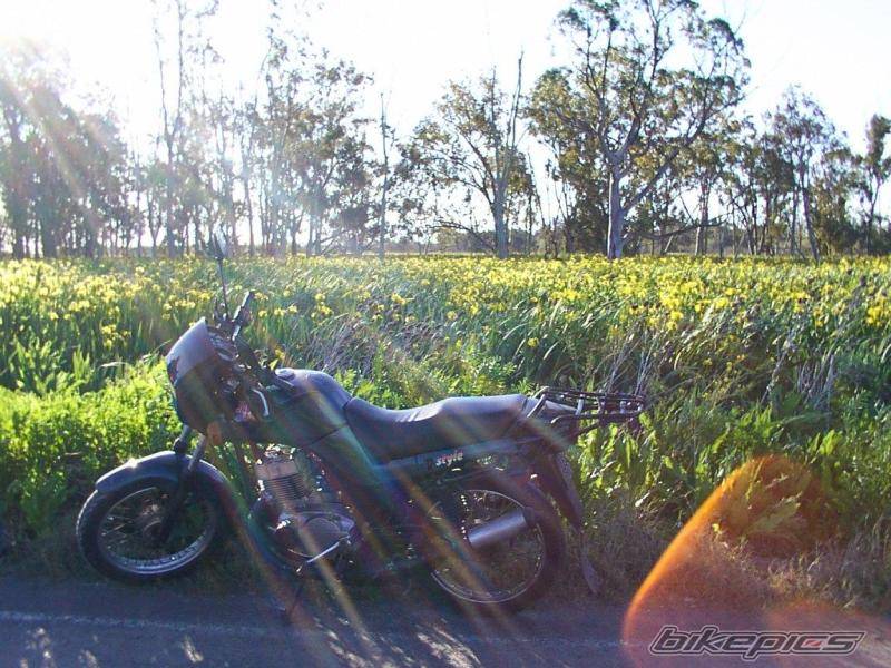 2000 JAWA 350 | Picture 435719 motorcycle photo