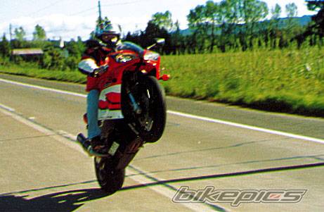 2000 YAMAHA YZF R1 | Picture 4358 motorcycle photo