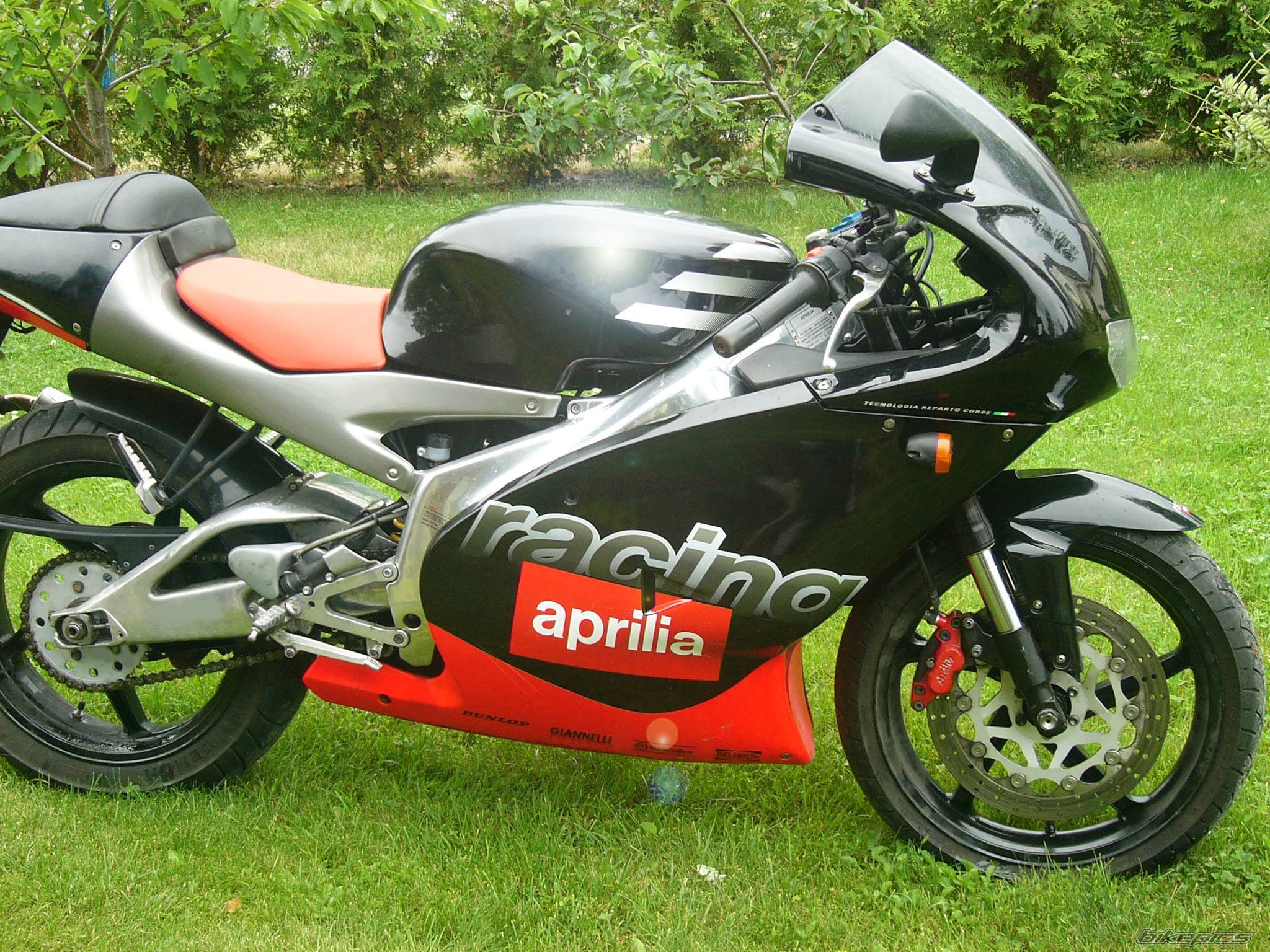 1999 APRILIA RS 125 | Picture 436029 motorcycle photo