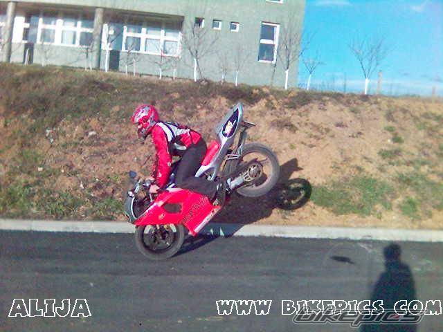 1997 APRILIA RS 125 | Picture 436044 motorcycle photo