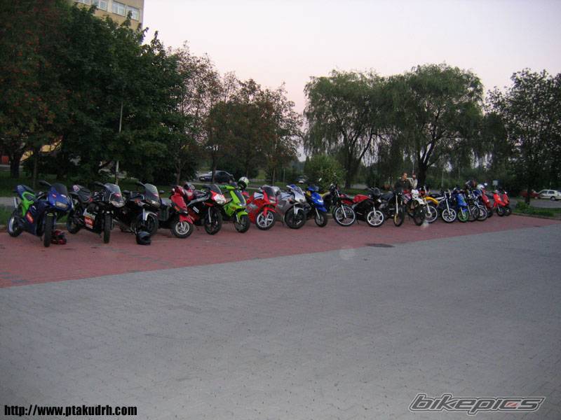 2001 RIEJU RR 50 | Picture 436311 motorcycle photo