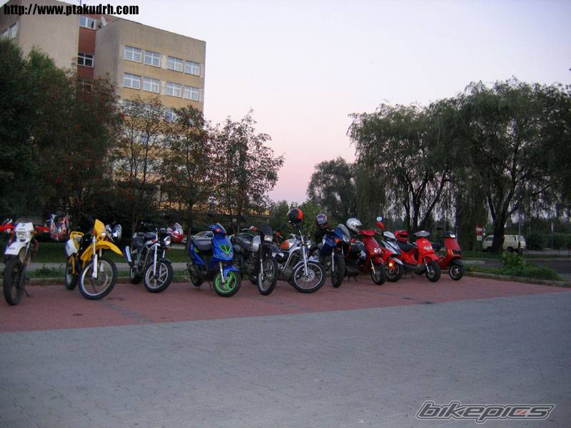 2001 RIEJU RR 50 | Picture 436322 motorcycle photo