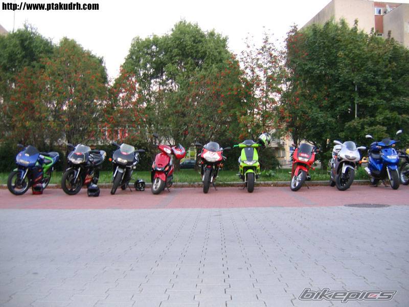 2001 RIEJU RR 50 | Picture 436325 motorcycle photo