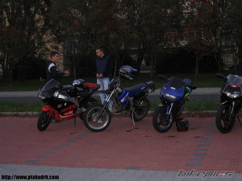 2001 RIEJU RR 50 | Picture 436330 motorcycle photo