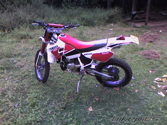2002 YAMAHA WR 200 | Picture 436617 motorcycle photo