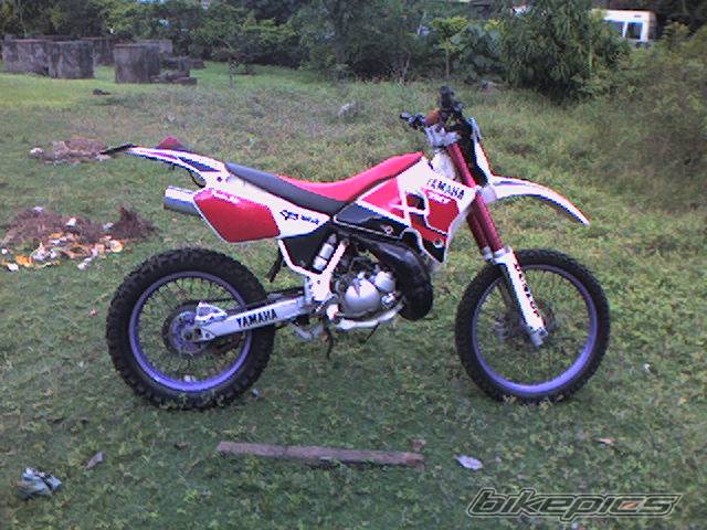 2002 YAMAHA WR 200 | Picture 436652 motorcycle photo