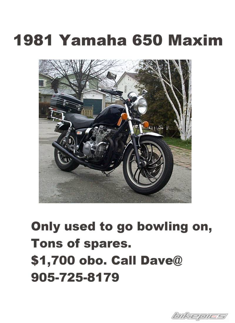 2001 SUZUKI BANDIT 600 | Picture 43692 motorcycle photo