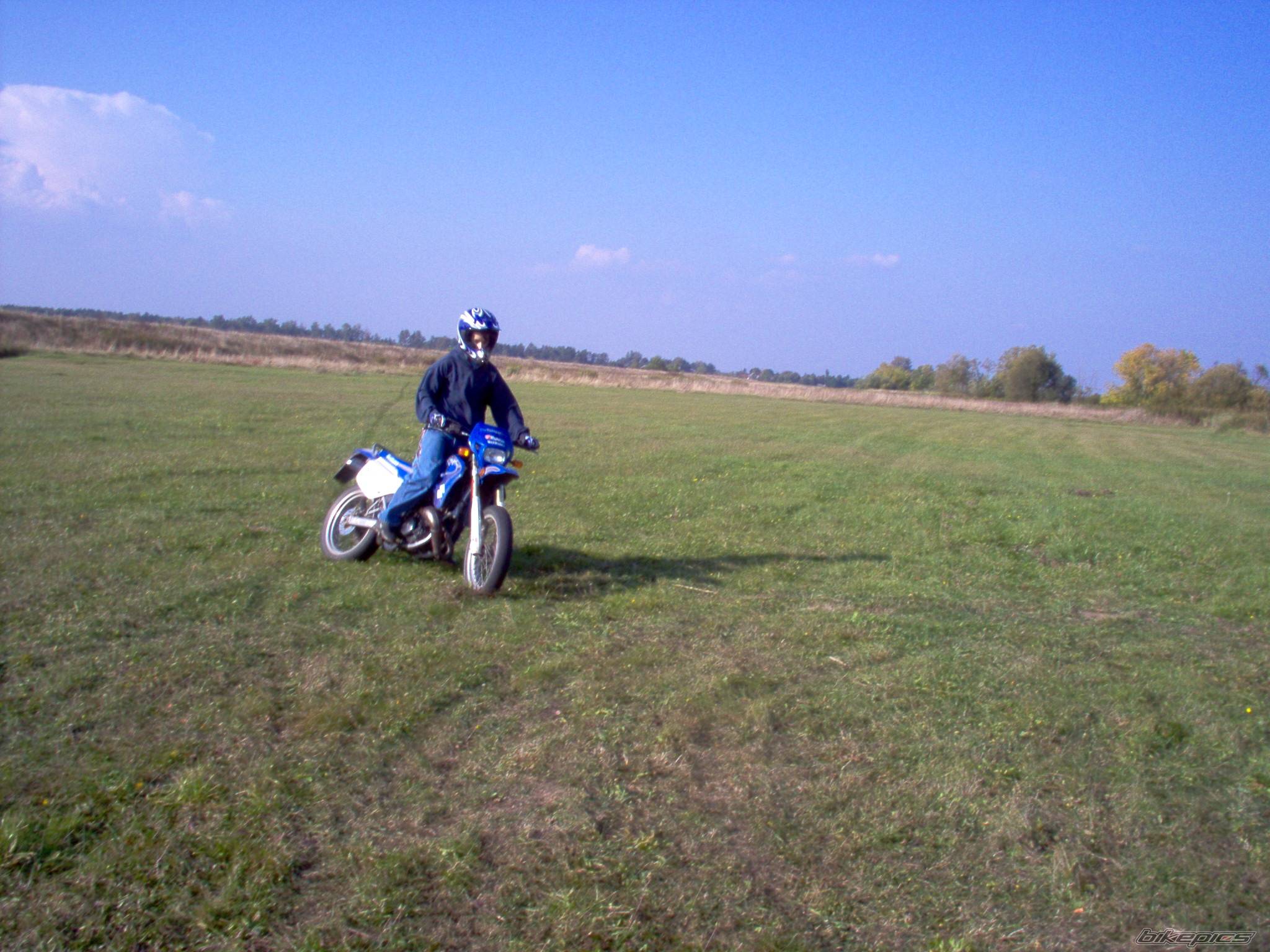 2003 SUZUKI SMX 50 | Picture 437095 motorcycle photo