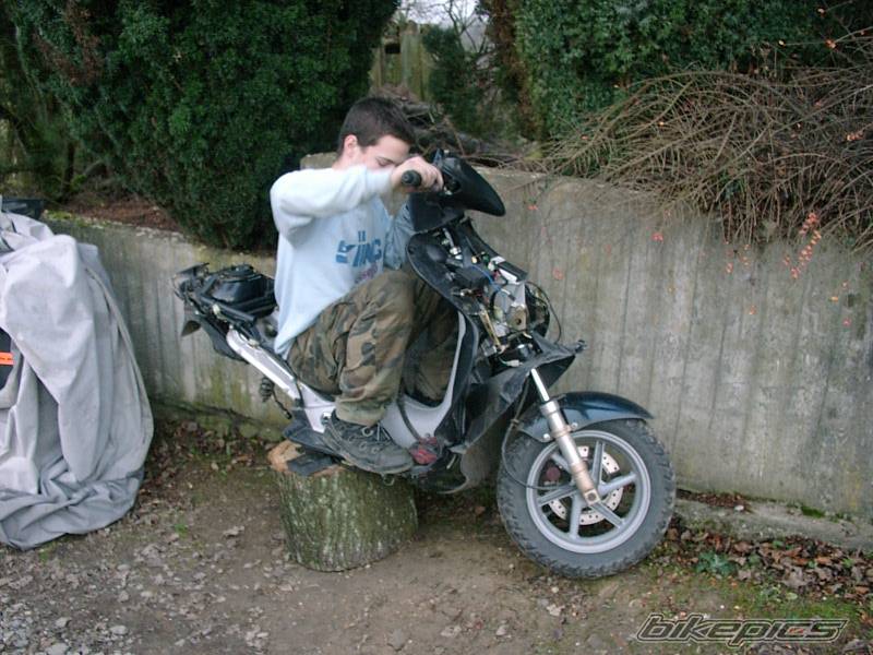 2002 APRILIA SR 50 | Picture 43712 motorcycle photo