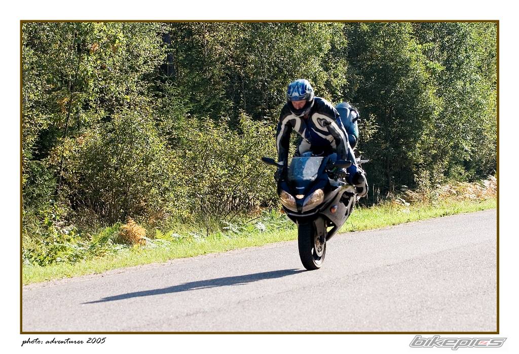 2000 KAWASAKI ZX 9R | Picture 437579 motorcycle photo