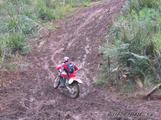 2002 HONDA XR 400 | Picture 437819 motorcycle photo