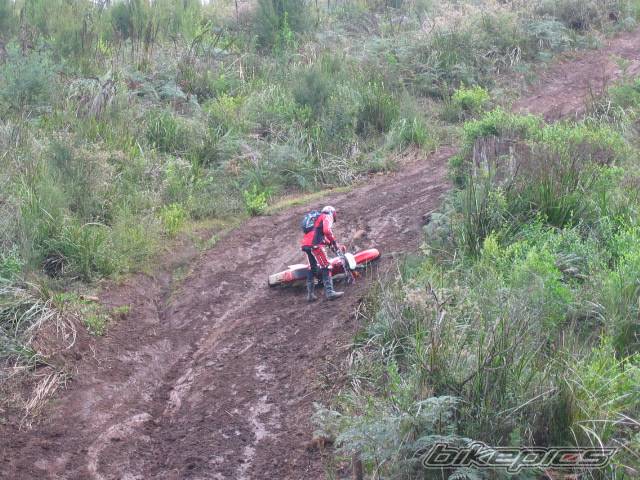 2002 HONDA XR 400 | Picture 437820 motorcycle photo