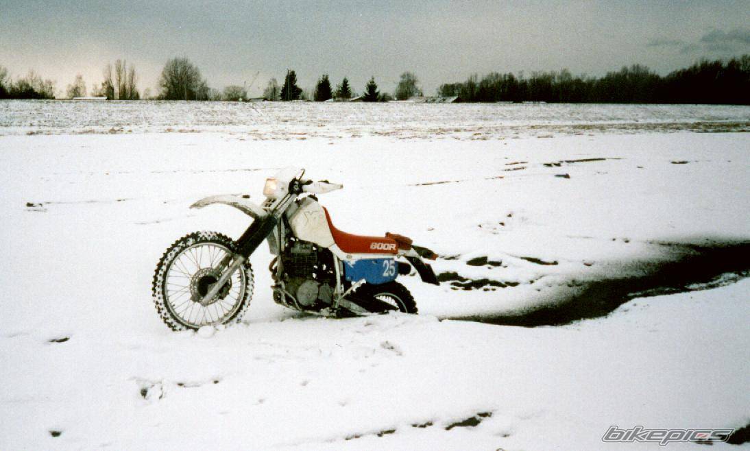 1992 HONDA XR 600 | Picture 43796 motorcycle photo