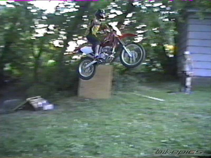 2001 HONDA XR 250 | Picture 43801 motorcycle photo