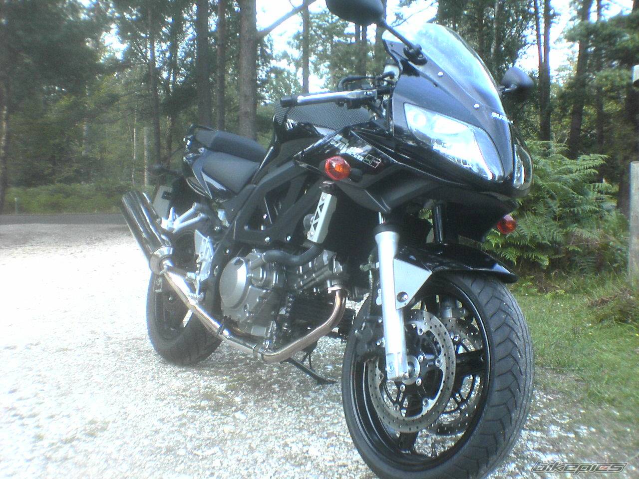 2005 SUZUKI SV 650S | Picture 438067 motorcycle photo