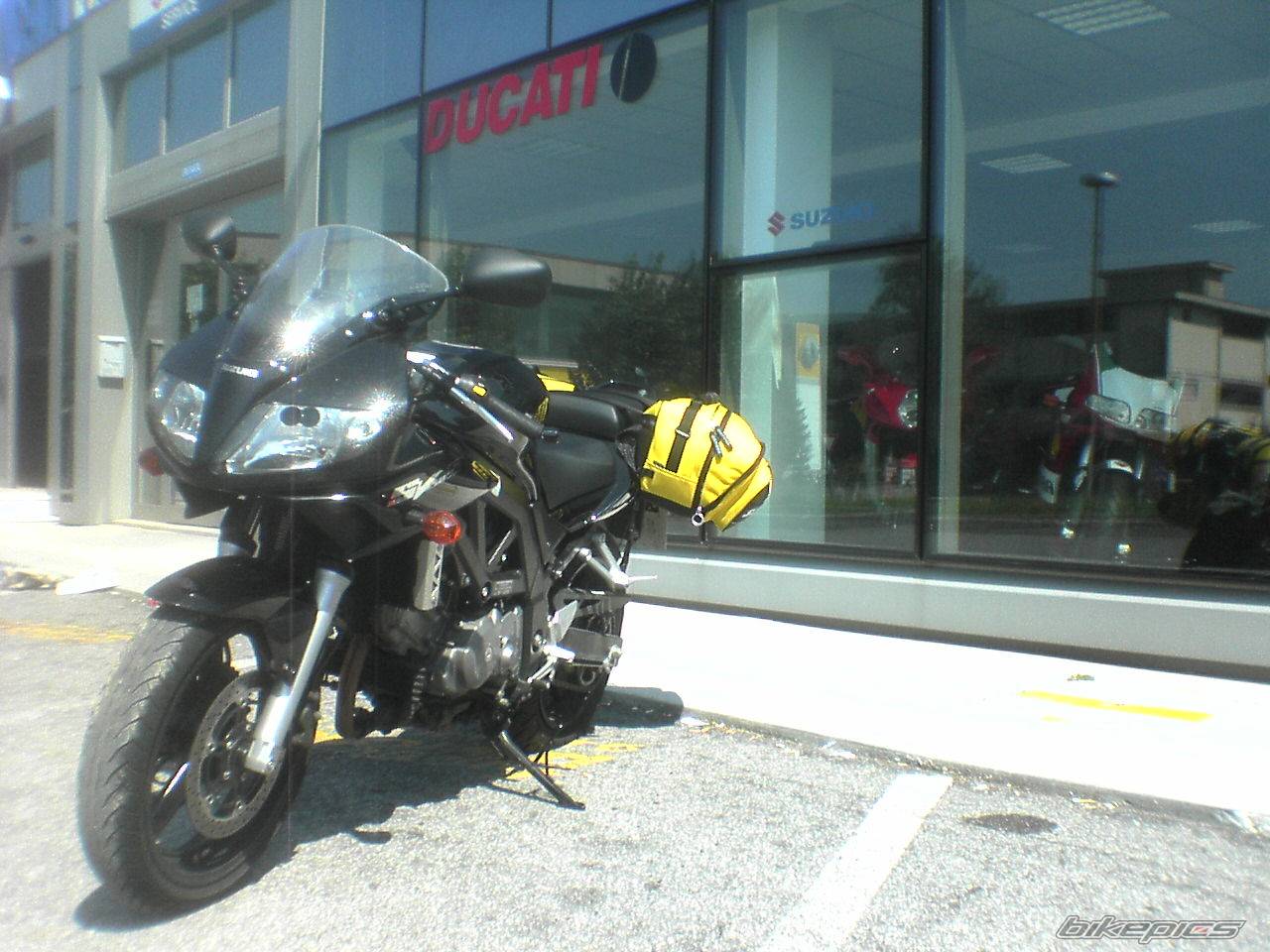 2005 SUZUKI SV 650S | Picture 438071 motorcycle photo