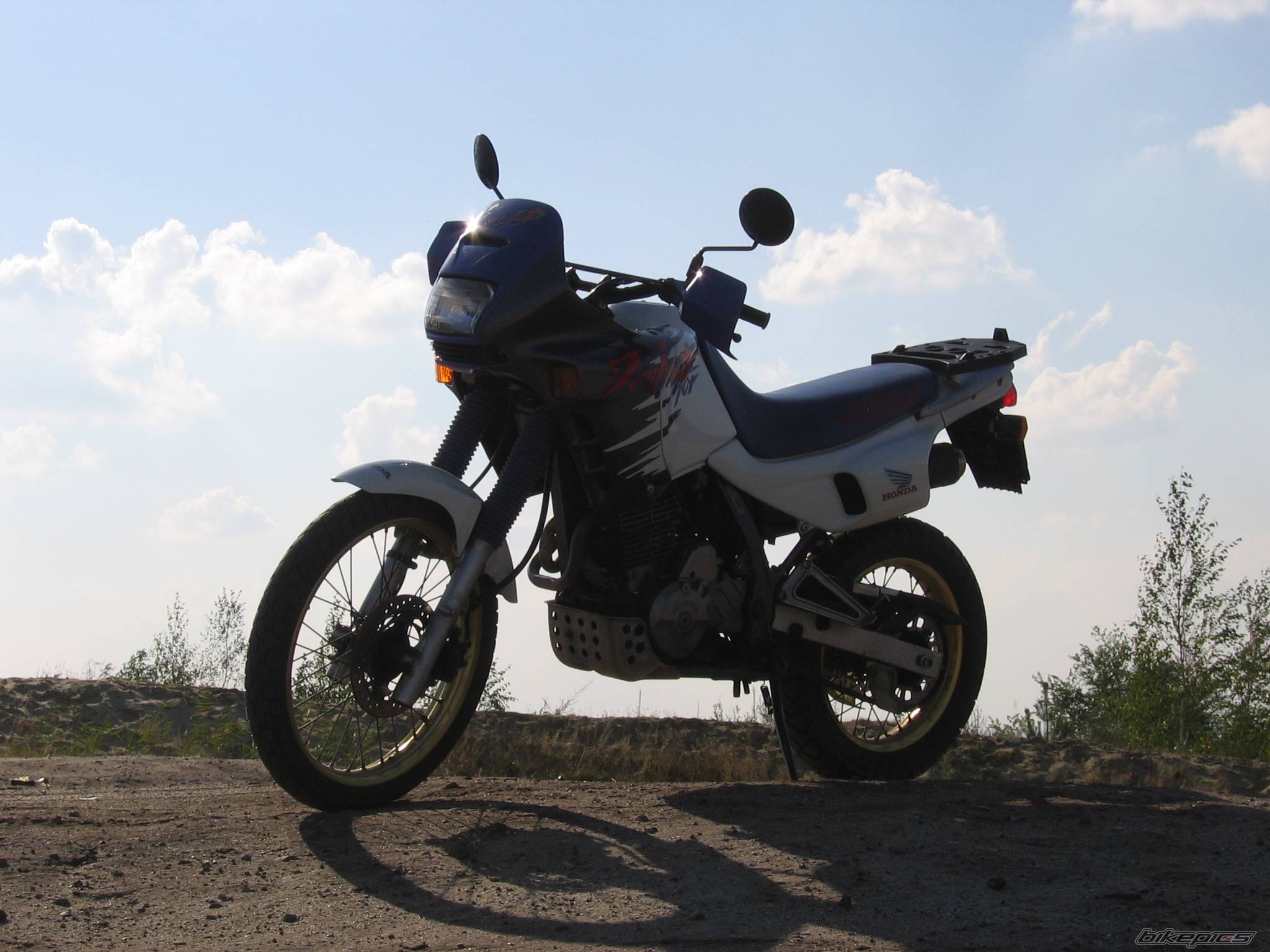 1994 HONDA NX 650 DOMINATOR | Picture 438232 motorcycle photo