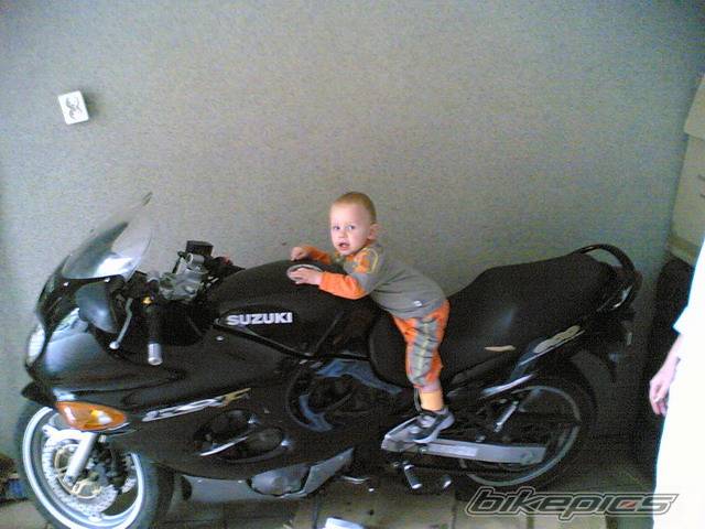 1999 SUZUKI GSX 600 | Picture 438242 motorcycle photo