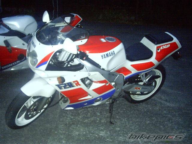 1989 YAMAHA FZR 250 | Picture 43868 motorcycle photo