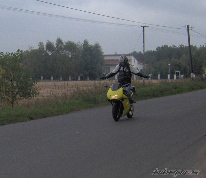 1993   | Picture 439402 motorcycle photo