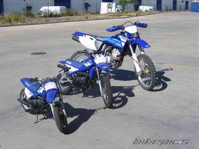 2004 YAMAHA PW 80 | Picture 439614 motorcycle photo