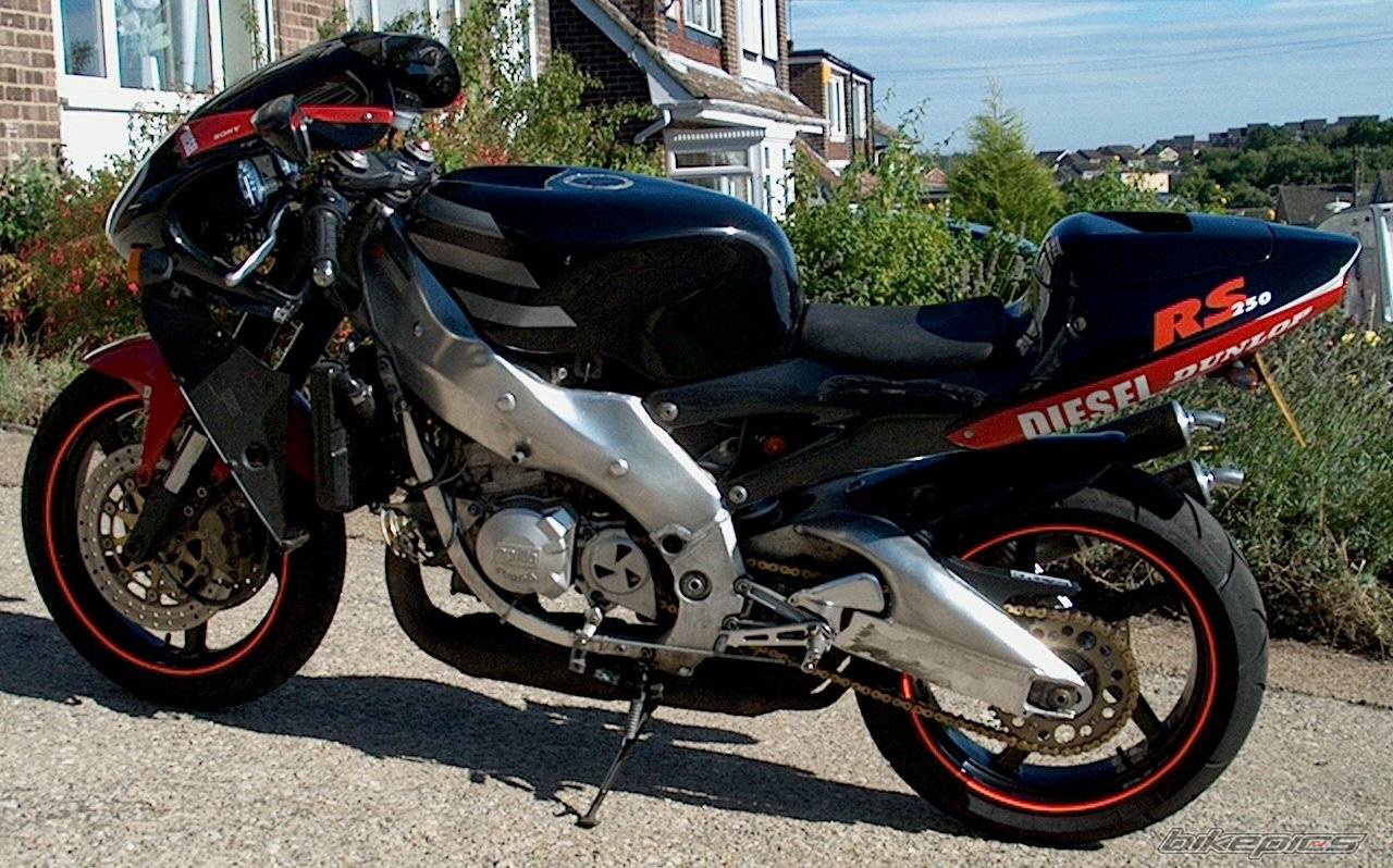 1996 APRILIA RS 250 | Picture 439760 motorcycle photo