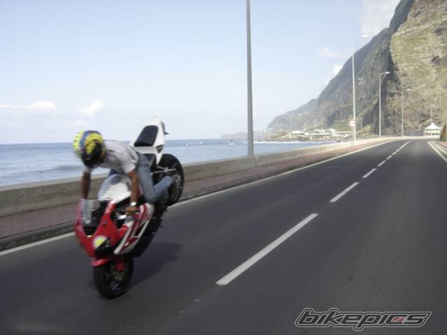 2004 HONDA CBR 1000  RR | Picture 439803 motorcycle photo