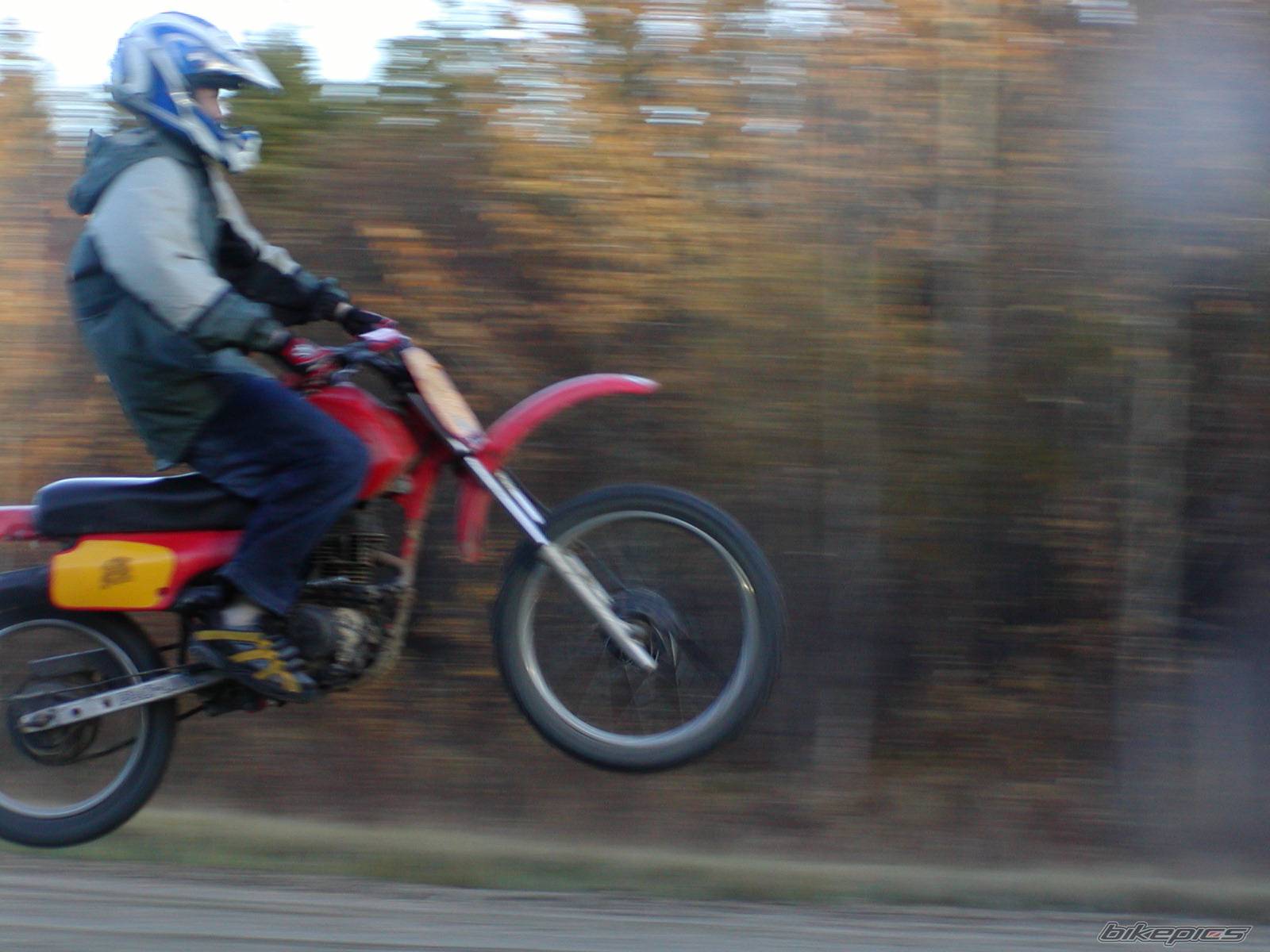 1986 HONDA XR 100 | Picture 43984 motorcycle photo