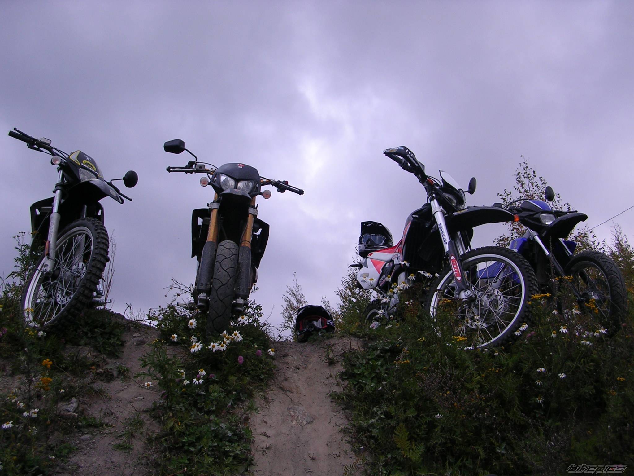 2005 DERBI SENDA DRD SM 50 | Picture 439874 motorcycle photo
