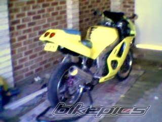 1988 HONDA CBR 250 | Picture 43990 motorcycle photo