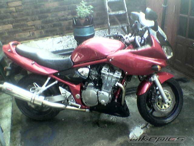 2002 SUZUKI BANDIT 600 | Picture 440019 motorcycle photo
