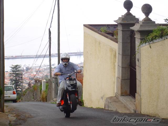 2001 PIAGGIO TPH 125 | Picture 440069 motorcycle photo