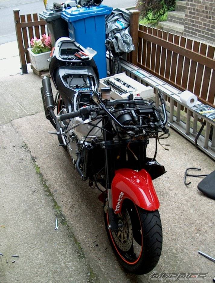 1996 APRILIA RS 250 | Picture 440694 motorcycle photo