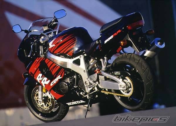1995 HONDA CBR 900 | Picture 441028 motorcycle photo