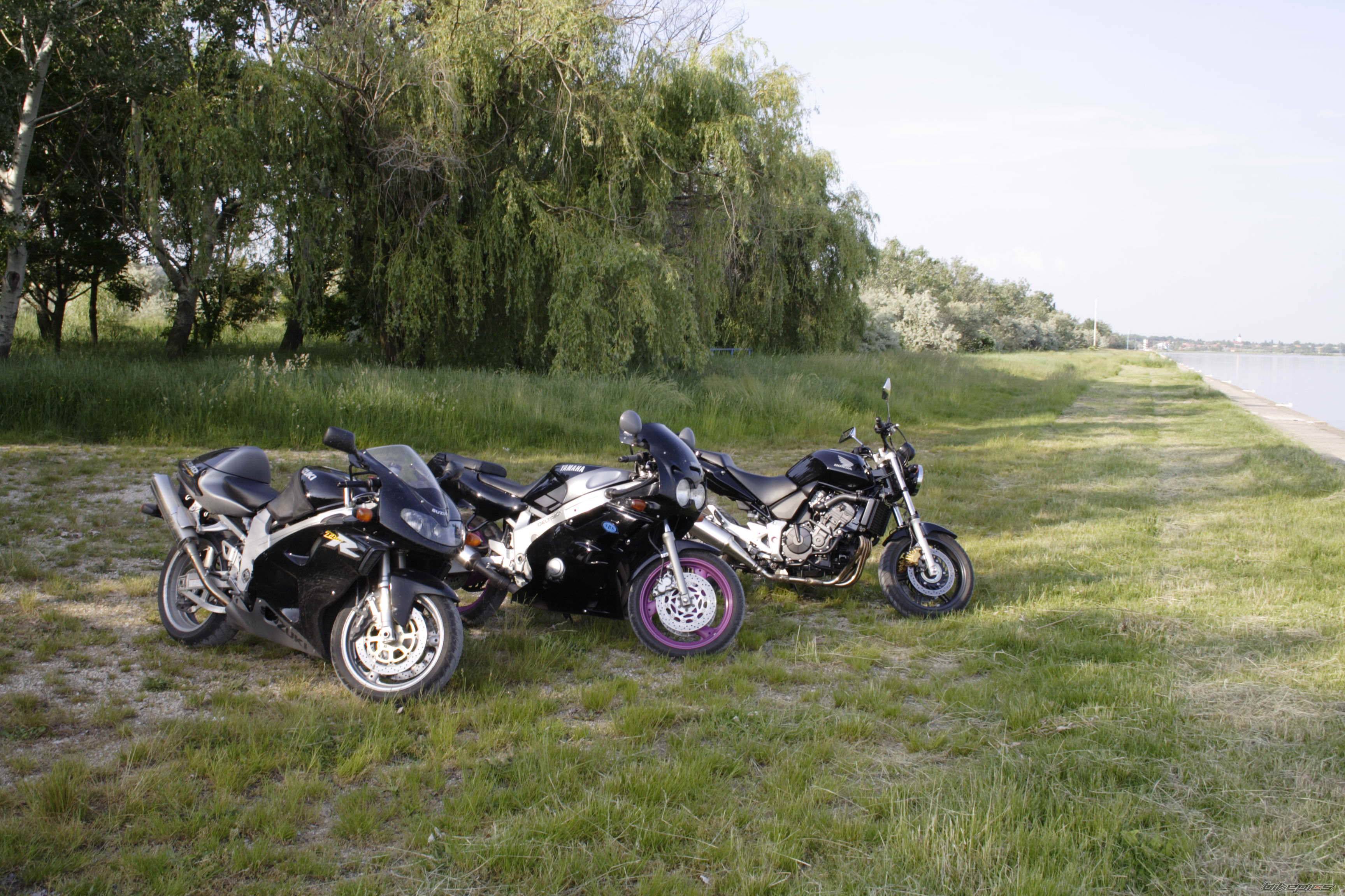 2005 HONDA CBF 600 | Picture 441089 motorcycle photo