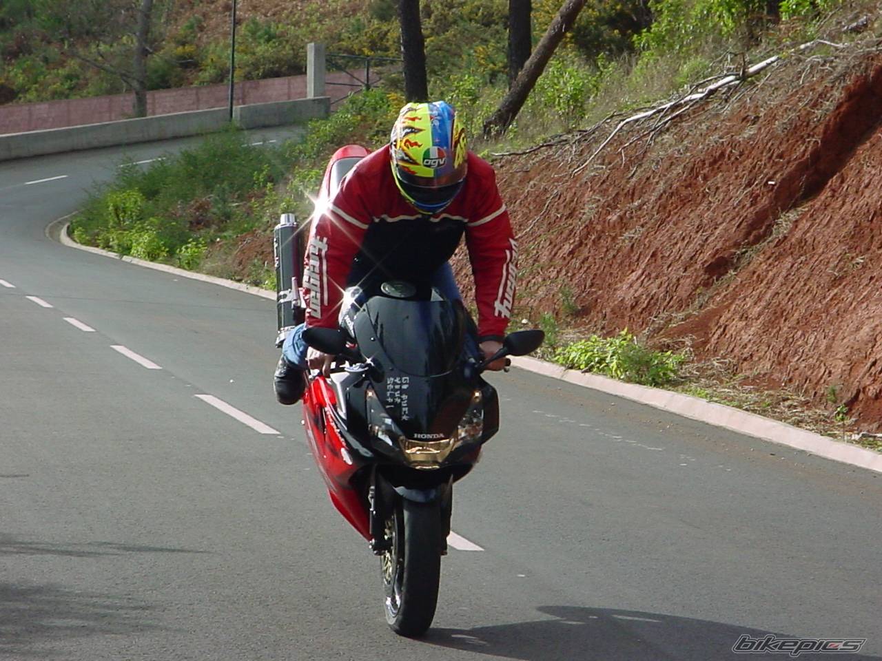 2003 HONDA CBR 900 | Picture 441187 motorcycle photo