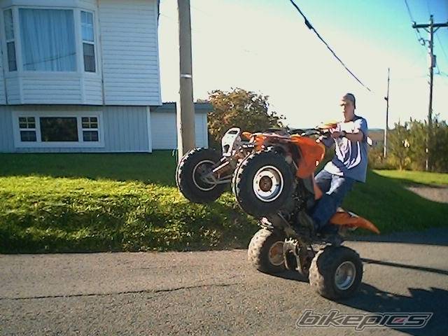 2005 POLARIS PREDATOR 500 | Picture 441304 motorcycle photo