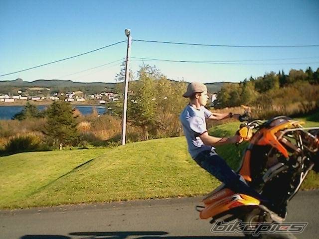 2005 POLARIS PREDATOR 500 | Picture 441307 motorcycle photo