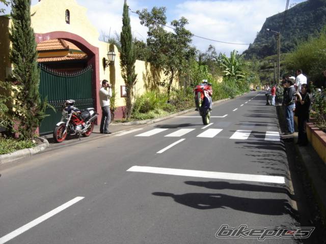 2004 HONDA CBR 1000  RR | Picture 441342 motorcycle photo