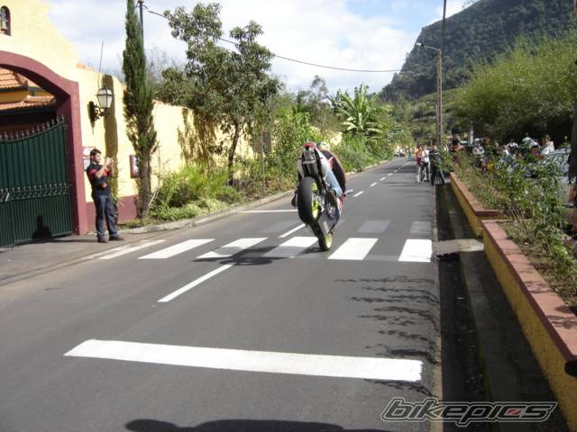 2004 HONDA CBR 1000  RR | Picture 441346 motorcycle photo