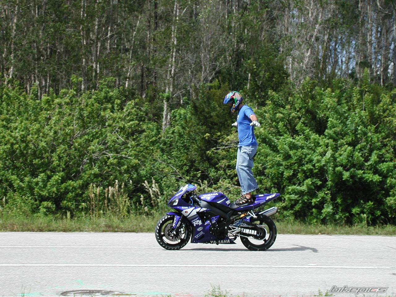 2003 YAMAHA YZF R1 | Picture 441412 motorcycle photo