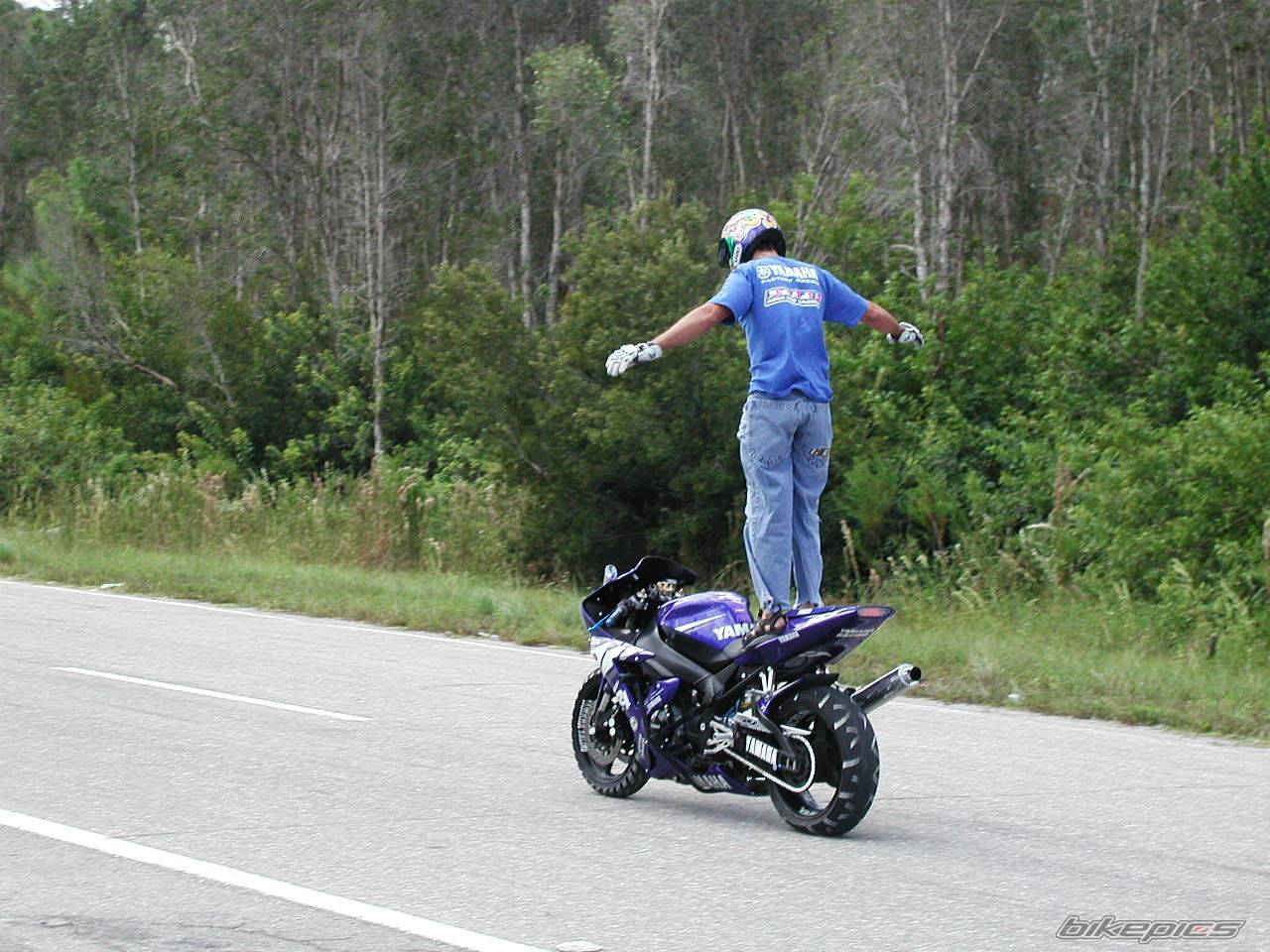 2003 YAMAHA YZF R1 | Picture 441430 motorcycle photo