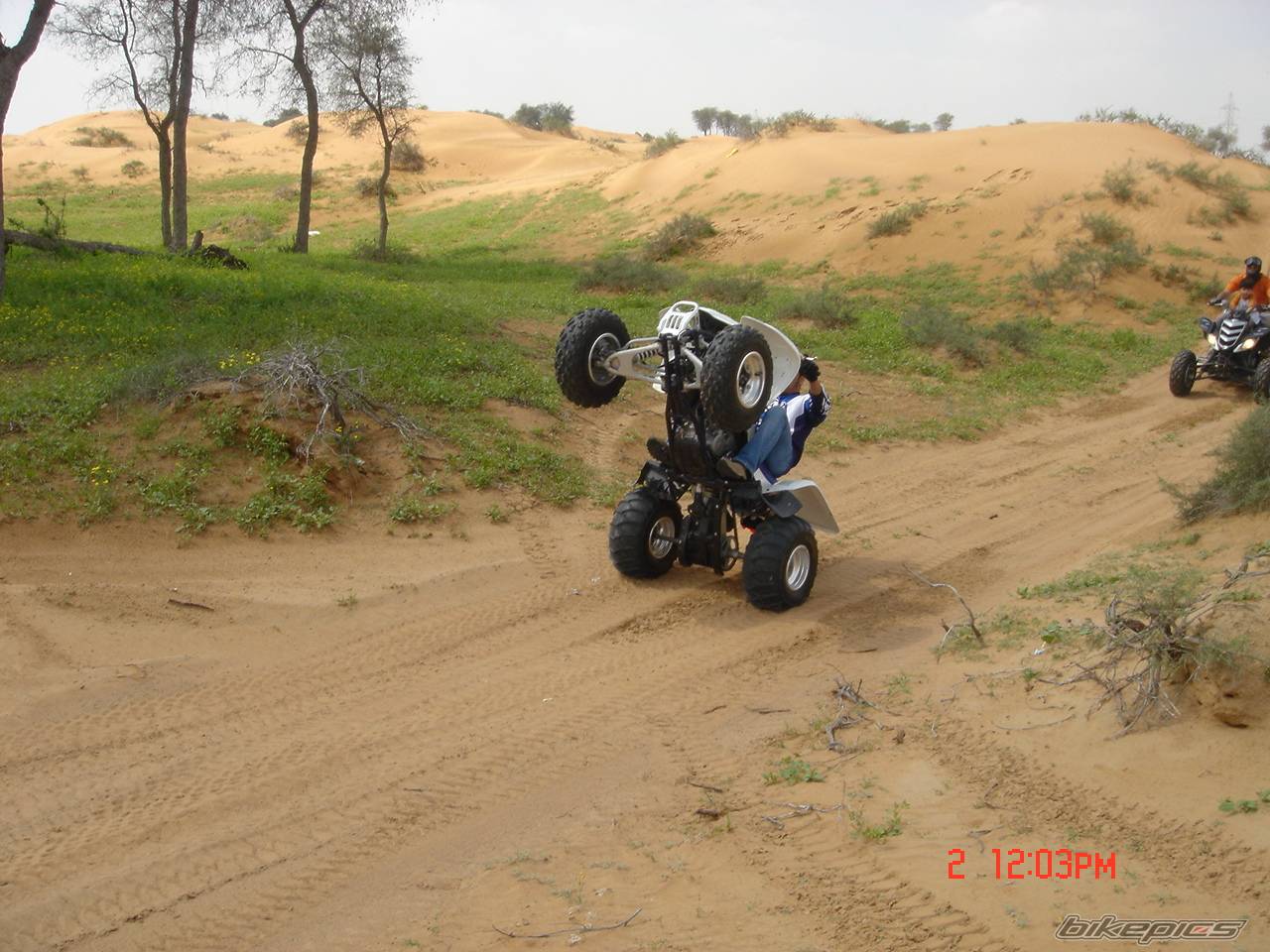 2005 SUZUKI SUZUKI Z400 | Picture 441468 motorcycle photo