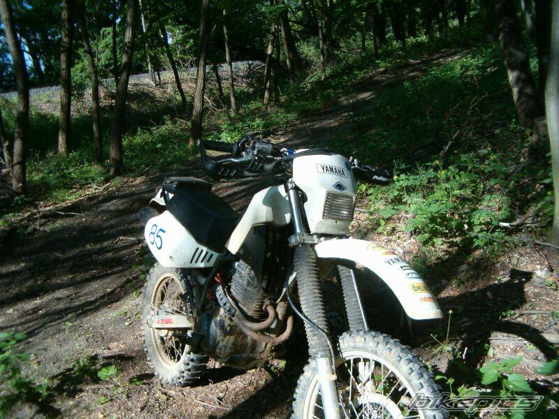 1989 YAMAHA TTR 350 | Picture 441718 motorcycle photo