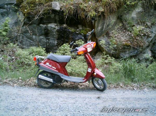 1997 YAMAHA RAZZ | Picture 441861 motorcycle photo