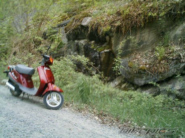 1997 YAMAHA RAZZ | Picture 441863 motorcycle photo